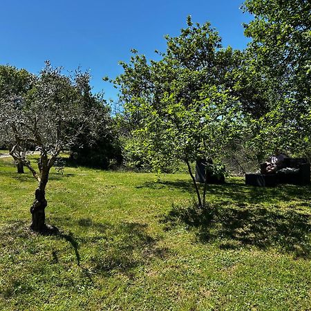 Les Demeures Du Clos Niozelles Екстер'єр фото